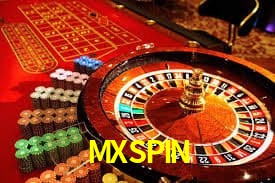 MXSPIN Preguntas frecuentes sobre MXSPIN en México